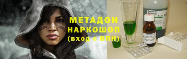 гашик Ельня