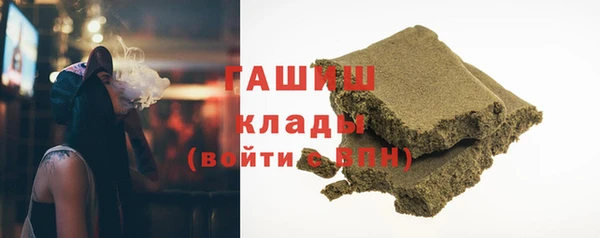гашик Ельня