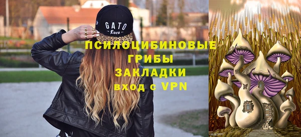 mdpv Дмитриев