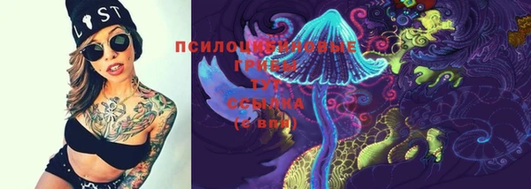 mdpv Дмитриев