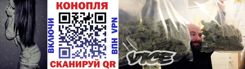 Купить где Комсомольск Конопля White Widow